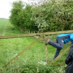 Two people slipping under a fence illustrating the act of trespassing.