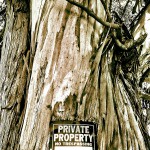 A private property sign on an old tree.