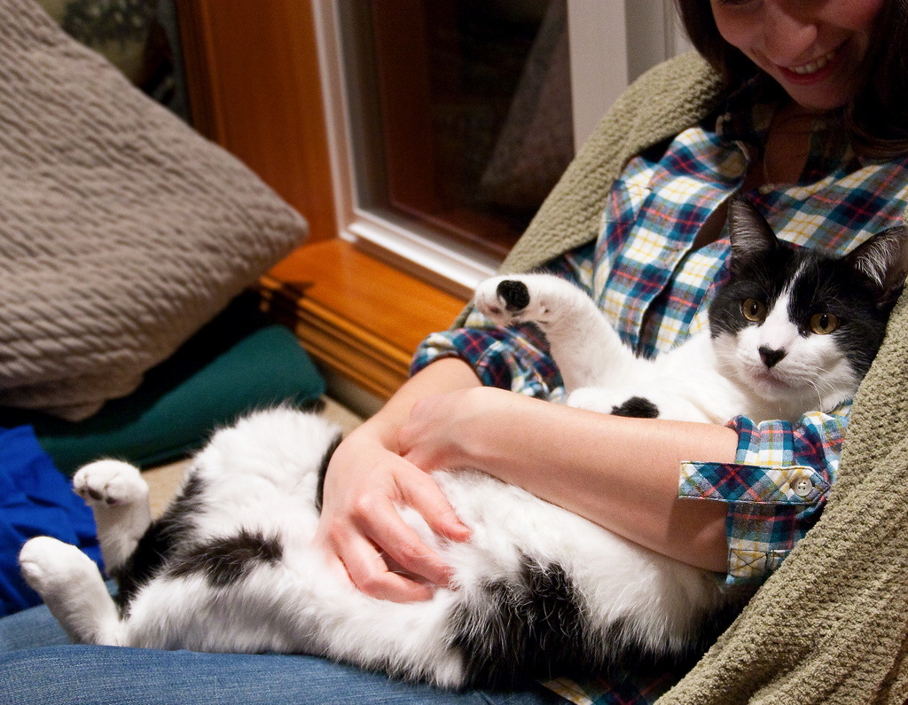 Rescuing an abandoned pet could result in an unparalleled, loving bond. via Sheila Sund.