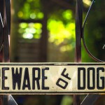 A guide to on-the-job dog bite prevention
