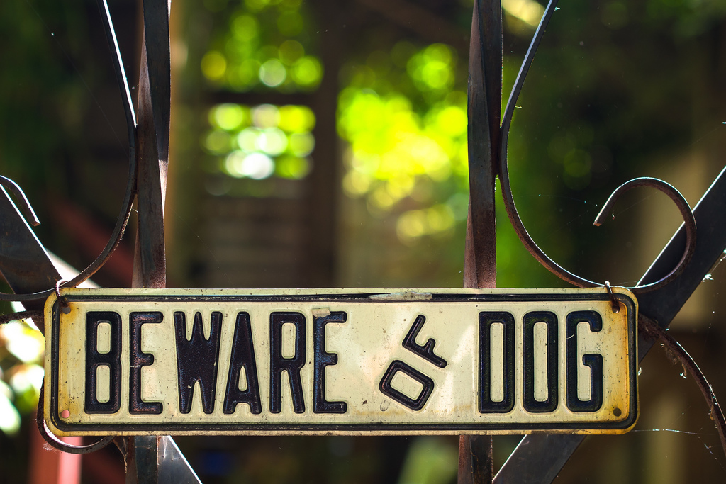 dog bite prevention