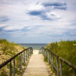 Dunes: Human Interference and Steps to Protect