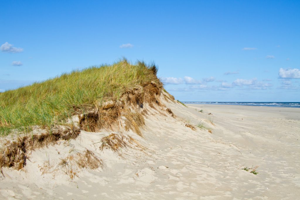 Dune Erosion
