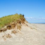 Dune Erosion