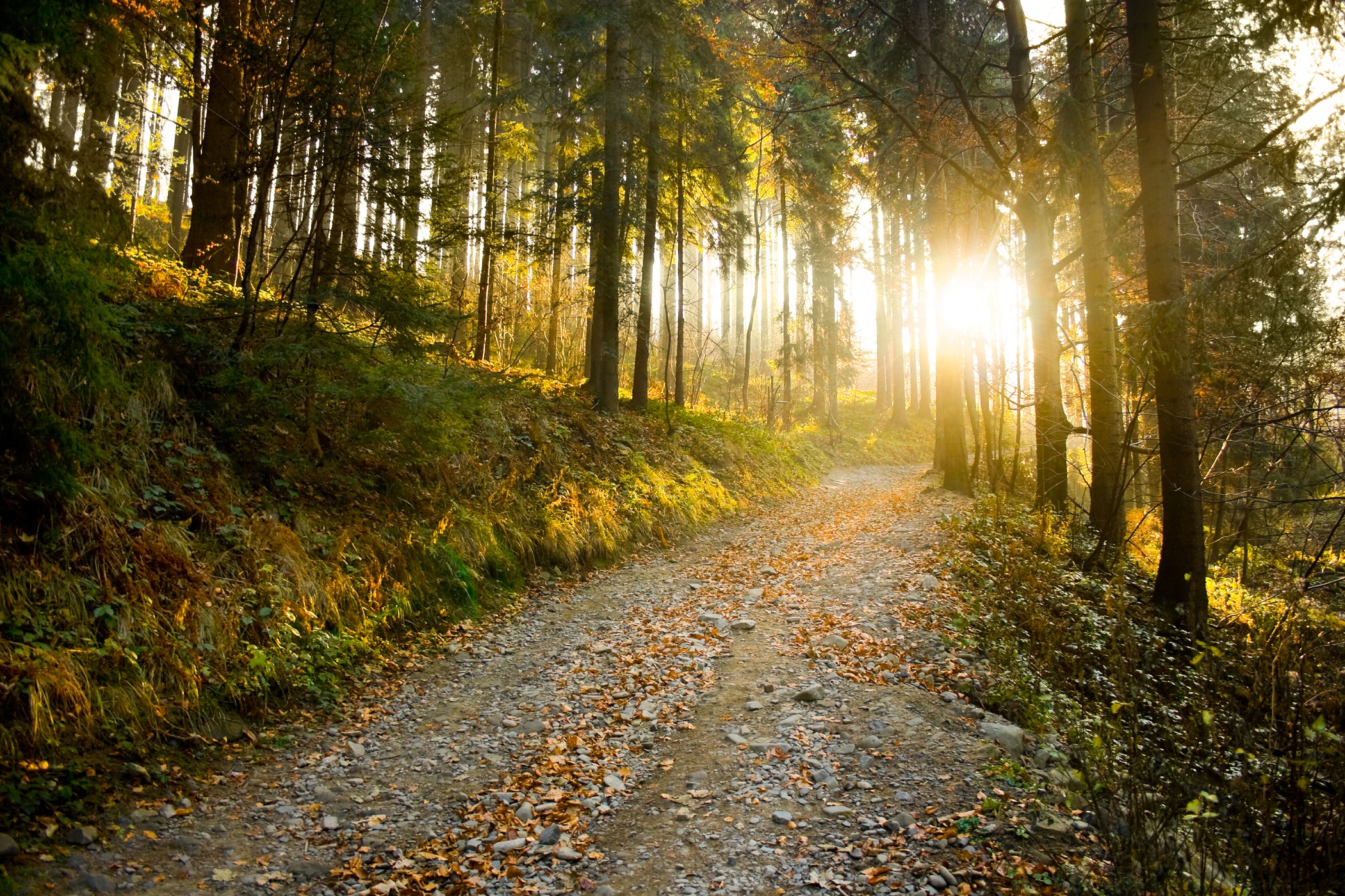 Private Trail